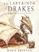 In_the_Labyrinth_of_Drakes